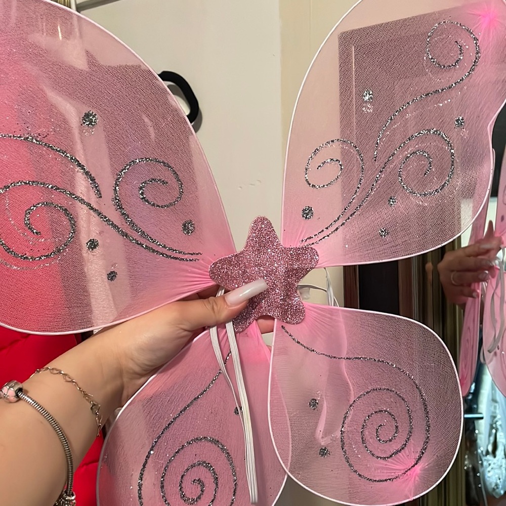 Pink Fairy Wings